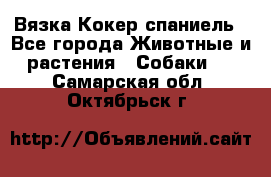 Вязка Кокер спаниель - Все города Животные и растения » Собаки   . Самарская обл.,Октябрьск г.